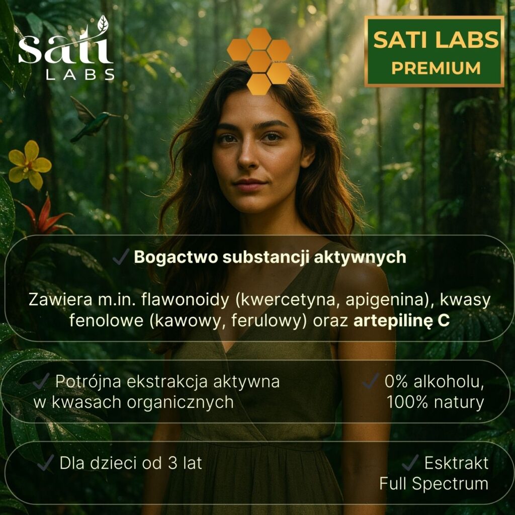nano zielony propolis vis1 11 Produkt Sati Labs W samym sercu brazylijskiej dżungli, pośród zielonych koron drzew i dzikich kwiatów, pszczoły od wieków tworzą niezwykły skarb - zielony propolis. To właśnie stąd, z dziewiczych terenów Amazonii, pochodzi główny składnik naszego Nano Propolis 30%. Zielony propolis zaliczany jest do najlepszych na świecie, pozyskiwany jest z dziewiczych terenów tropikalnych, gdzie pszczoły zbierają żywice z rośliny Baccharis dracunculifolia. Dzięki temu surowiec ten zawiera unikalne składniki aktywne, m.in. artepilinę C, polifenol będący znakiem rozpoznawczym brazylijskiego propolisu i występujący praktycznie wyłącznie w nim. To właśnie one nadają mu niezwykłe właściwości, bijące na głowę właściwości odmian pozyskiwanych gdzie indziej. Produkt klasy premium zasługuje na premium technologię. Dlatego w Nano Propolis 30% zastosowano naszą flagową metodę Nano™ Novalyse. To dzięki niej ten ekstrakt jest tak silny i jednocześnie łagodny. Wieloetapowa, aktywna ekstrakcja w kwasach organicznych wydobywa do 40% więcej polifenoli i 30% więcej flawonoidów z surowca niż tradycyjne metody.