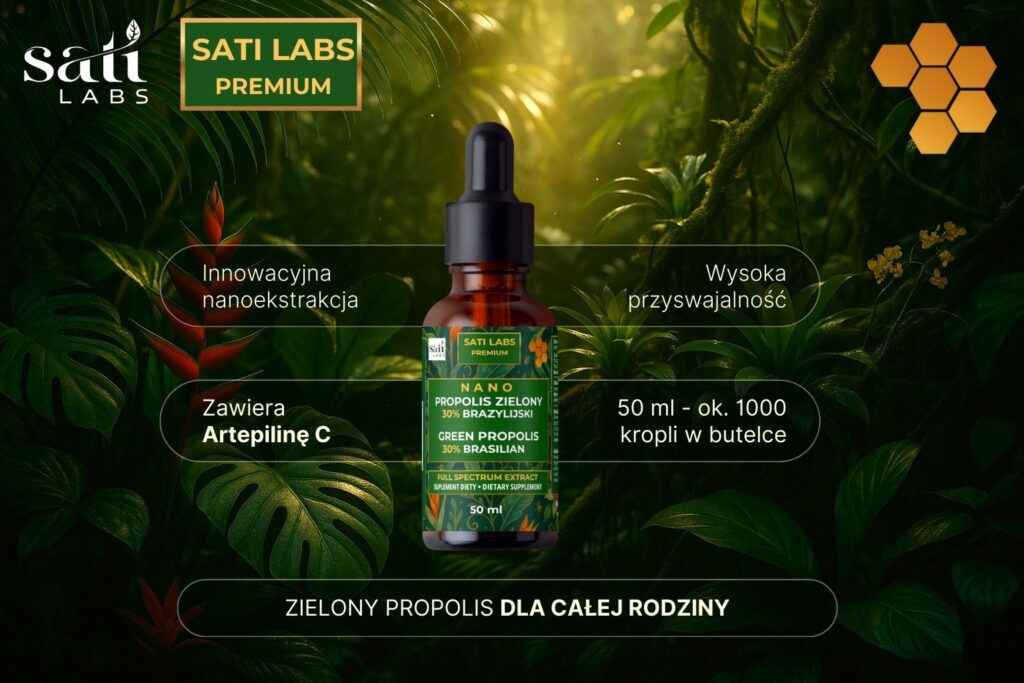 sati labs zielony propolis vis2 1 Produkt Sati Labs W samym sercu brazylijskiej dżungli, pośród zielonych koron drzew i dzikich kwiatów, pszczoły od wieków tworzą niezwykły skarb - zielony propolis. To właśnie stąd, z dziewiczych terenów Amazonii, pochodzi główny składnik naszego Nano Propolis 30%. Zielony propolis zaliczany jest do najlepszych na świecie, pozyskiwany jest z dziewiczych terenów tropikalnych, gdzie pszczoły zbierają żywice z rośliny Baccharis dracunculifolia. Dzięki temu surowiec ten zawiera unikalne składniki aktywne, m.in. artepilinę C, polifenol będący znakiem rozpoznawczym brazylijskiego propolisu i występujący praktycznie wyłącznie w nim. To właśnie one nadają mu niezwykłe właściwości, bijące na głowę właściwości odmian pozyskiwanych gdzie indziej. Produkt klasy premium zasługuje na premium technologię. Dlatego w Nano Propolis 30% zastosowano naszą flagową metodę Nano™ Novalyse. To dzięki niej ten ekstrakt jest tak silny i jednocześnie łagodny. Wieloetapowa, aktywna ekstrakcja w kwasach organicznych wydobywa do 40% więcej polifenoli i 30% więcej flawonoidów z surowca niż tradycyjne metody.